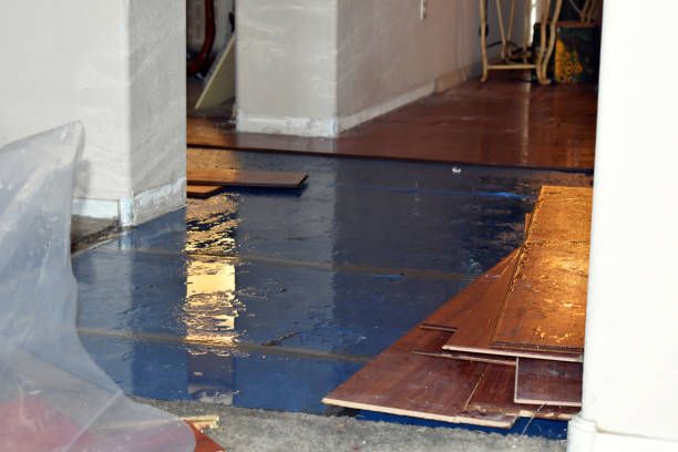 Professional Sewage Cleanup technician working in Hydetown, PA